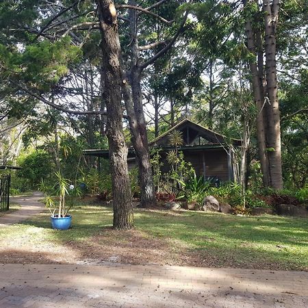 Byron Bay Rainforest Resort Buitenkant foto