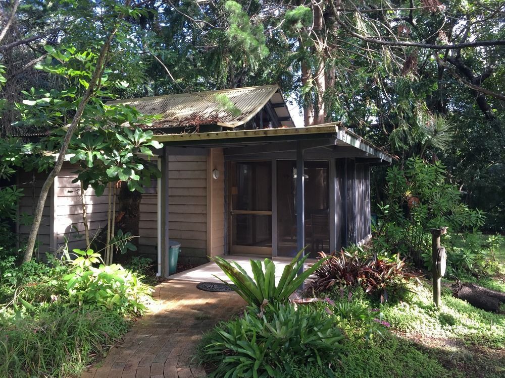 Byron Bay Rainforest Resort Buitenkant foto