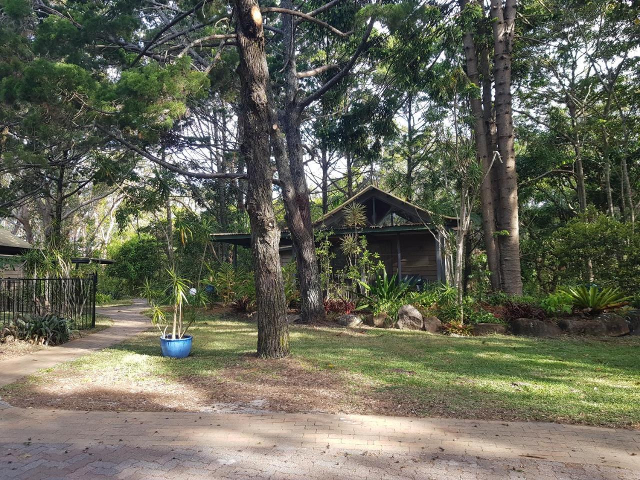 Byron Bay Rainforest Resort Buitenkant foto