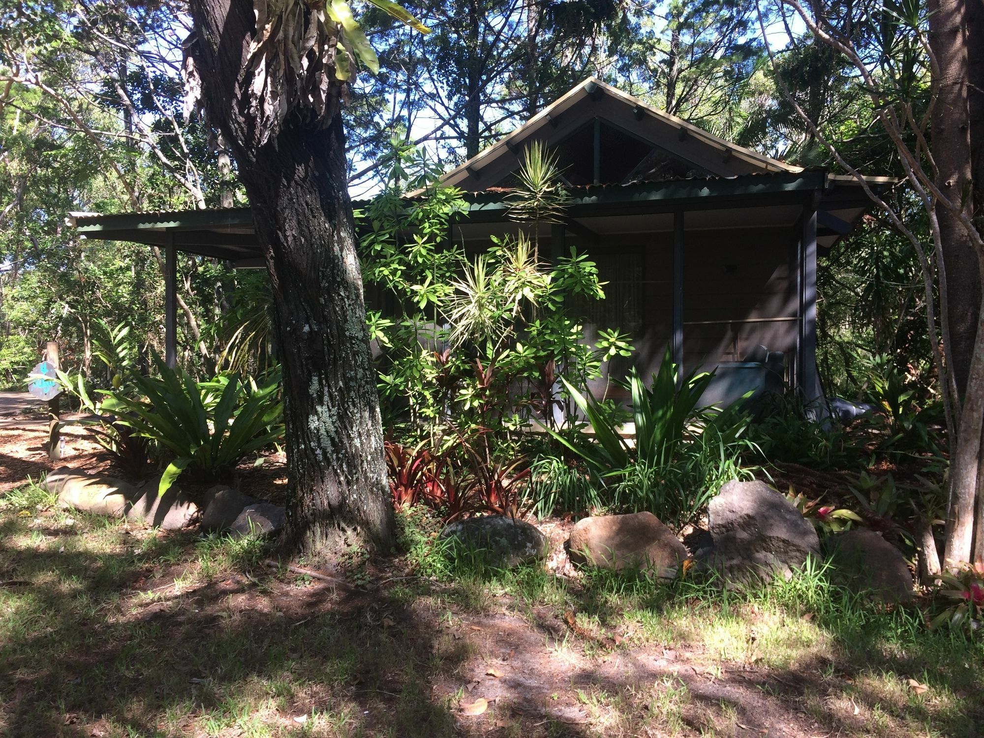 Byron Bay Rainforest Resort Buitenkant foto