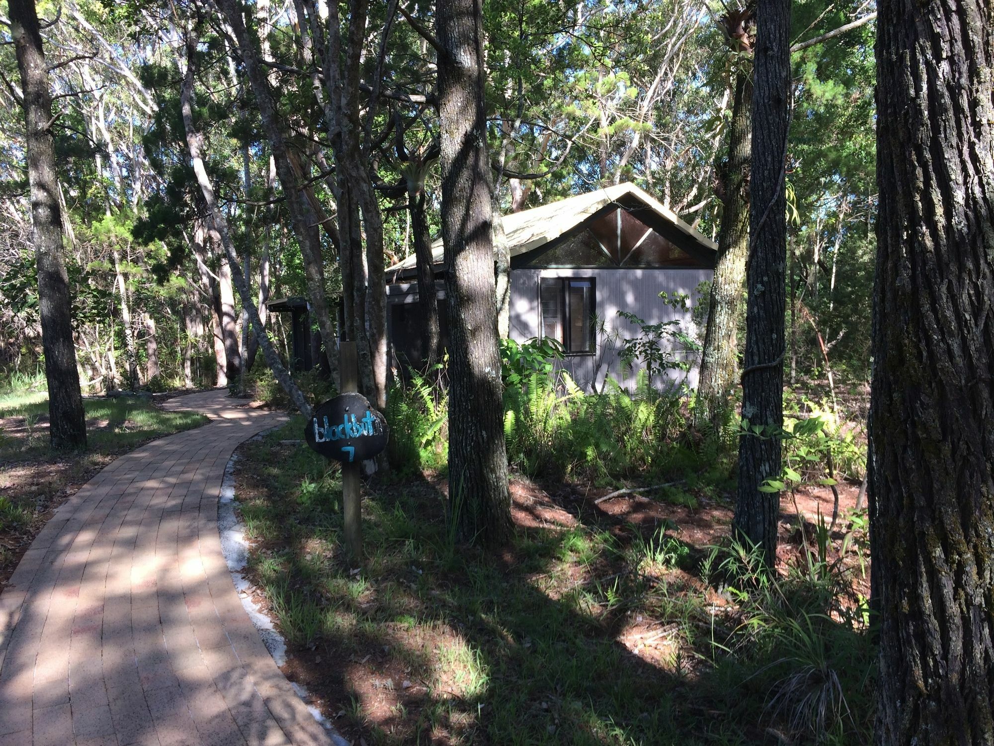Byron Bay Rainforest Resort Buitenkant foto